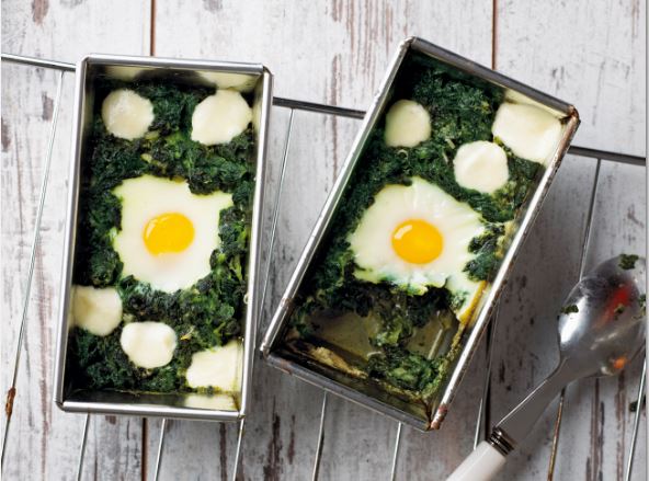 © Meike Bergmann, Berlin, TRIAS Verlag