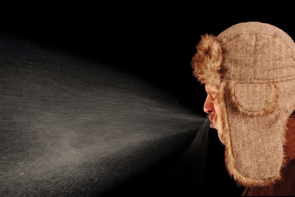 © RioPatuca Images - Fotolia.com