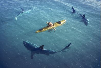 © Maksim Samasiuk - Fotolia.com